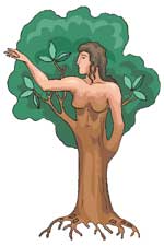 rever d'arbre