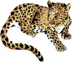 rever de jaguar